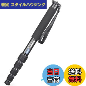 �y���������zINNOREL ��r �J�����p �R���p�N�g��r �A���~��r 12KG�ω׏d 5�i�L�k �g���x��/�쒹�B��/�����/�X�|�[�c�C�x���g�ɑΉ� ���s��r RM325A