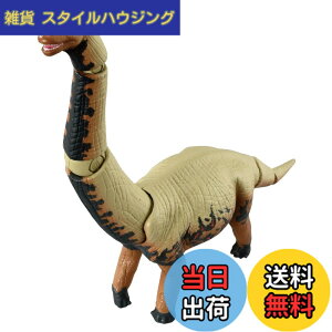 ���i�摜