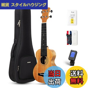 �y���������zEnya �}�z�K�j�[�E�N���� �F�F�؂̐F�\�v���m�E�N�����A�T�C�Y�F�\�v���m