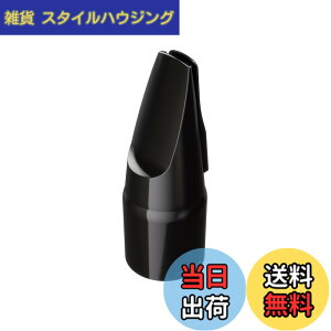 �y���������zRoland ���[�����h Aerophone��p�}�E�X�s�[�X �G�A���t�H�� OP-AE05MPH