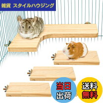 楽天市場】チンチラ飼育セットの通販