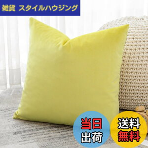 �y���������zOtostar �N�b�V�����J�o�[ 45x45cm 1�� ���n ������� ���� �x���x�b�g ���_�� �W�b�p�[�� �C���e���A ���������p �����p�s���[�J�o�[ �F�F�������C�G���[�A�T�C�Y�F45cmx45cm(1 ���g