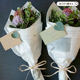 【当店限定★ポイント5倍】 【半額クーポン】在庫限り カード クリエイティブカード ライトオリーブ 30枚高品質 花材 花屋 プレゼント ギフト 業務用 装飾 飾り グリーティングカード イベント かわいい アレンジ 業務用 オシャレ おしゃれ