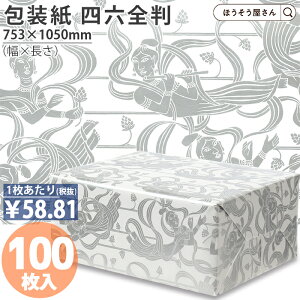 y18聚|Cg7{z  V No.501iVjlZ S 100 傫TCY  킢 bsOy[p[  IV Vv Mtg bsO Ɩp Cxg