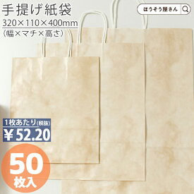 【当店限定★ポイント5倍】 紙袋 手提げ袋 手提袋 丸紐 HZ ルネッサンスサーモン 50枚手提げ マチ広 仕出し お弁当 おしゃれ 収納 業務用 ワイン 小 茶 手提げ 日本製 ギフト 軽い 安心 梱包 パッケージ