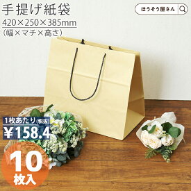 紙袋 底ボール 花材 花用 手提袋 BM 10枚手提げ マチ広 仕出し お弁当 おしゃれ 収納 高品質 手提げ袋 シンプル 業務用 軽量 テイクアウト 持ち運び ギフト プレゼント イベント 入学 新学期 新シーズン 新