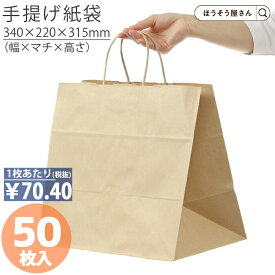 【当店限定★ポイント5倍】 紙袋 手提袋 手提げ袋 丸紐 茶 HV75 未晒 無地 50枚手提げ マチ広 仕出し お弁当 おしゃれ 収納 業務用 ワイン 小 茶 手提げ 日本製 高品質 食品 エコ 油もの 屋台 テイクアウト お持ち帰り ドライブ