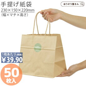 【当店限定★ポイント5倍】 紙袋 手提げ袋 丸紐 HV2315 茶 未晒 無地 50枚手提袋 手提げ 業務用 ラッピング おしゃれ マチ広 プレゼント ギフト クラフト 洋菓子 和菓子 大量 マチ広 おしゃれ 収納 小 テイクアウト かわいい 梱