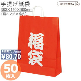 【当店限定★ポイント5倍】 紙袋 手提げ袋 手提袋 丸紐 HV100 福袋 50枚手提げ マチ広 仕出し お弁当 おしゃれ 収納 業務用 ワイン 小 茶 手提げ 日本製 高品質 クリスマス お正月 季節 雪 イベント 限定 高品質 サンタ 小物入