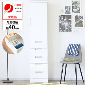 Ԏ[ Ԏ[ HI 40cm i { ^ X nC^Cv   o [ ʏ h[ Tj^[[