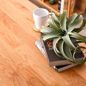 _CjOe[u e[u e[û 2{r Pi 150cm ؐ 4l| A_[C JtFe[u He[u VR ` e[u H  {r 4lp ll Vv ؍