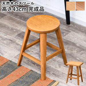 Xc[ o[`FA [^Cv X ֎q Xc[ k ؐ C wȂ lp `FA `FA[  i