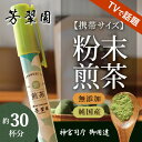 お手軽 粉末茶ペン 日本茶 粉末煎茶 ギフト 家庭用【無添加で純国産の一番茶！神宮司庁 御用達 銘茶】 煎茶 メディア掲載 【たけしの家庭の医学】粉末煎茶で血管... ランキングお取り寄せ