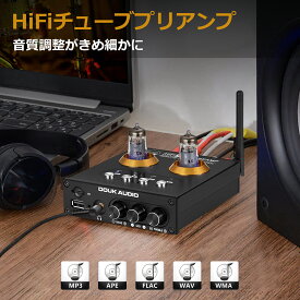 Douk Audio P2 Mini Bluetooth 5.0 真空管プリアンプ HiFi USB プレーヤー ステレオ オーディオ ヘッドフォンアンプ リモコン操作