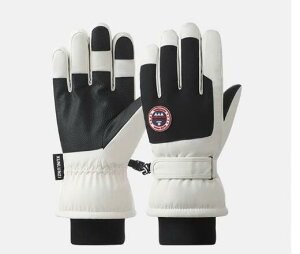 XL[ O[u fB[X Y Xm[O[u XL[ Xm[{[h Xm{ O[u ~g  ܖ{woR oCN ] ~ Sh h h  g X}zΉ N