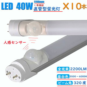 y10{Zbgzledu 40w`  O[Hsv F lZT[t 30b 1198mm Փd20W Px2200LM px320x sǌ  40000 W܂ɂ G