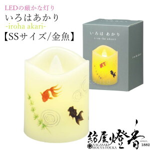 LED[\N ͂ SSTCY  J} / irohaakari KINGYO r dr낤 Mtg  p 䕧O i   S S 䋟   ~ r͂ @ 