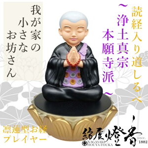 @^ovC[ ǌo  䂪Ƃ̏ȂV y^@E{莛h }GX / ǌo  SDJ[h O Mtg o  ^v[[ 䂪Ƃ̂Vl ǌo ^ 