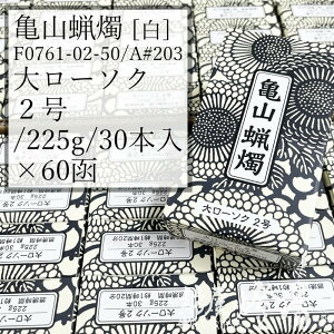 TRXC P[X 60 A#203   働[\N 2 225g 30{ Xp 120 J}[\N / kameyama ʃ[\N m[ Xi XC   v[ @ @v @ Cxg L