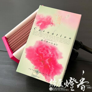  ԕ J[l[V Zol  { / ӂ Kafuh CARNATION ̓  Ԃ̂    XO  Ԃ̍ ̖ ɂۂ񂱂ǂ CZ