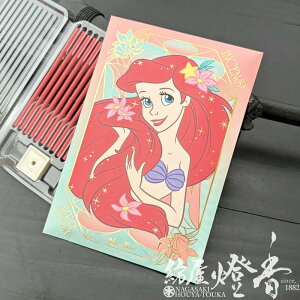  fBYj[vZX CZX AG ST12{ ~jXeBbNܓ ĕt Disney Princess Incense { / Pl tOX ɂۂ񂱂ǂ  VR 