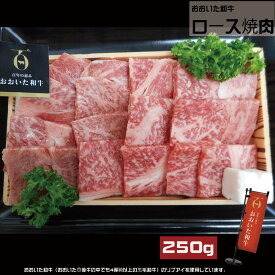 おおいた和牛 ロース 焼肉 250g （冷凍）【お肉 大分県産 牛肉 焼肉 リブ お取り寄せ お祝い 誕生日 お肉 家族 焼き肉パーティー 豊後牛 ご当地 焼き肉ギフト バーベキュー 黒毛和牛 ギフト 贅沢 ご褒美 焼き肉 牛 肉 和牛肉 国産 ロース肉 贈り物】