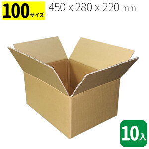 �y���������z�_���{�[�� 100�T�C�Y�y10���zDB2�@450 x 280 x 220 mm�I��z�A�ʔ́A���[�ɕ֗��I