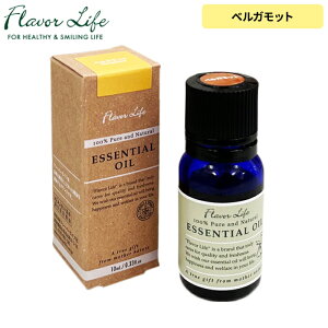 t[o[Ct@GbZVICyxKbgz10 mlu₩ȊkɁAr^[鍁ItbVɁI@̋CւɁIIɂXXI