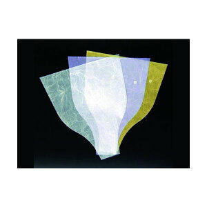 iJ} OPԗp t[R[g TFԁEpX[u #35 260/55×300+50mm DX_() LE 1P[X4000