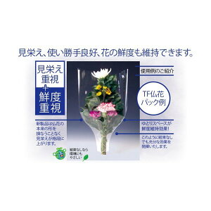 iJ} OPԗp t[R[g TFԁEpX[u #30 250/50×300+50mm 4 1P[X6000