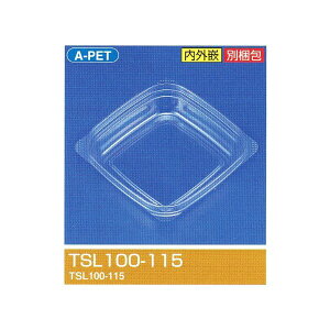 �y�����K�{�z�^�C�g�P�[�X �X���� TSL100-115 TCS�Z�b�g 100×100mm×��24.5 117(170)cc 1�P�[�X2000���k���Y�� �y�؁E�������p�ƍ��p�^�v���e��