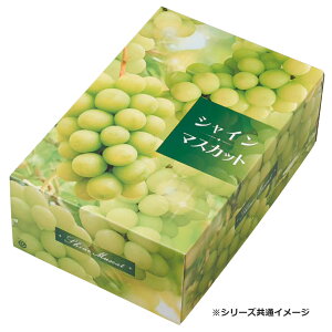 yK{zIJ Ԃǂ VC}XJbgC 2kg 355×245×135mm 1P[X40Zbg