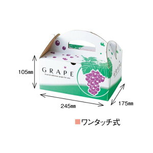 �y�����K�{�z�Ԃǂ��� �u�h�E ��� 1K OT-1 265×195×195mm 1�P�[�X50������