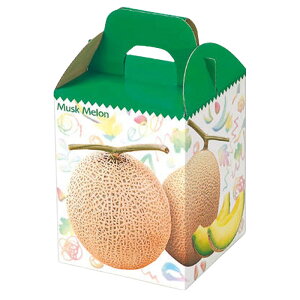 yK{zIJ  RR1 160×160×290mm 1P[X100Zbg