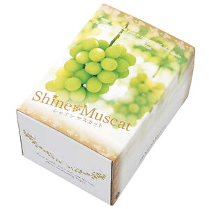 yK{zIJ Ԃǂ VC}XJbg 1kg 220×160×135mm 1P[X50Zbg