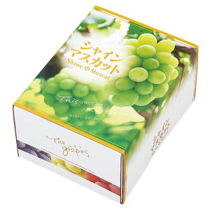 yK{zIJ Ԃǂ OS VC}XJbg 1.5kg 260×200×135mm 1P[X50Zbg