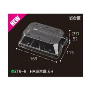 yK{zC`SpM[pbNΉW STR-R HAƍW.6H 169×115×52mm 1P[X500 GtsR`[p