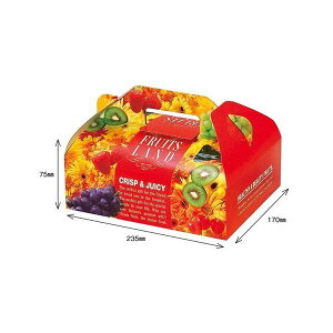 【屋号必須】オリカ いちご箱 フルーツランド ビビット173×238×100mm 1ケース100セット入り