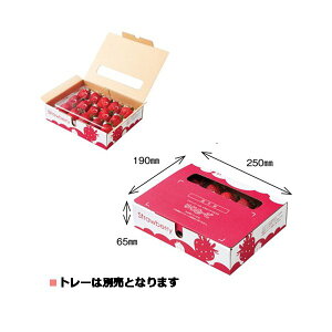 【屋号必須】大石産業 ゆりかーごAタイプ対応紙箱 イチゴケースゆりかーごA 1段用 260×200×70mm 1ケース100枚入り