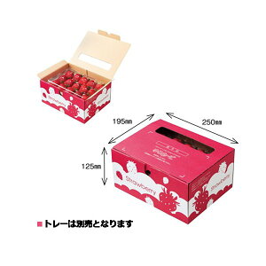 【屋号必須】大石産業 ゆりかーごAタイプ対応紙箱 イチゴケースゆりかーごA 2段用 260×205×130mm 1ケース100枚入り