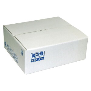 yK{z}jpbP[W z NK-117 ЖʃGRN[ A 2 260×300×100mm 1P[X50