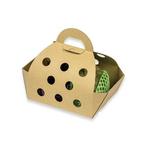 yK{z}jpbP[W Ԃǂ L-2496 Ntg  340(250)×175(200)×210mm 1P[X100 nfB^Cv/Ԃǂp