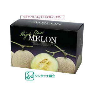 �y�����K�{�z���}�j�p�b�P�[�W �������� L-2297 �O�����h������L 2�P�� 310×160×200mm 1�P�[�X50������ �������p/�_���{�[��
