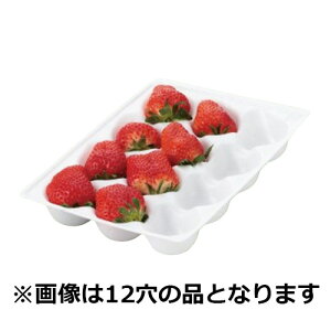 yK{zC`Spz[g[ x[NbV 18  167×237mm 1P[X1000 p/gC