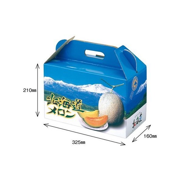 メロンの箱 メロン用 化粧箱 ダンボール箱 屋号必須 オリカ メロン箱 本物◆ 330×165×295mm １着でも送料無料 1セット10枚入り 北海道メロンD2 2ヶ入