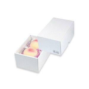 yK{z}jpbP[W  LTO-19FS p[ 19FS 215×145×110mm 1P[X50 p/_{[