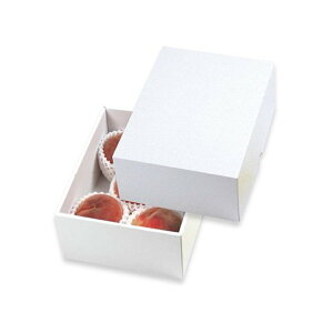 yK{z}jpbP[W  LTO-24FS p[ 24FS 260×200×110mm 1P[X50 p/_{[