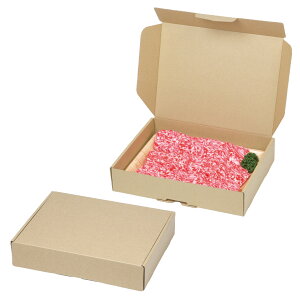 yK{z}jpbP[W z NK-444 T[rXz  285×218×60mm 1P[X100