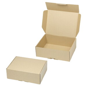 yK{z}jpbP[W z NK-445 T[rXz [ 285×216×99mm 1P[X100