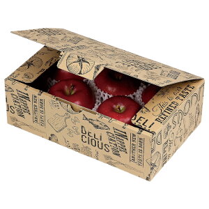 yK{z}jpbP[W z 10-370 ^b`BOX 2 PETNtg 300×180×100mm 1P[X100